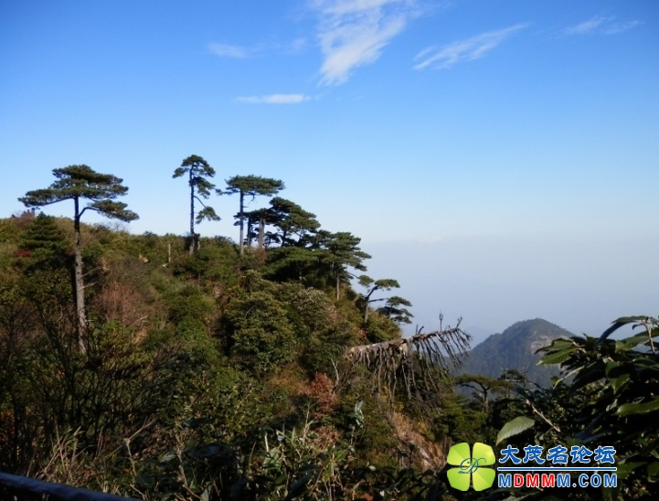 QQͼƬ20131117224804.jpg