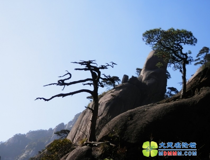 QQͼƬ20131117225210.jpg
