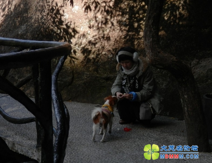 QQͼƬ20131117224119.jpg