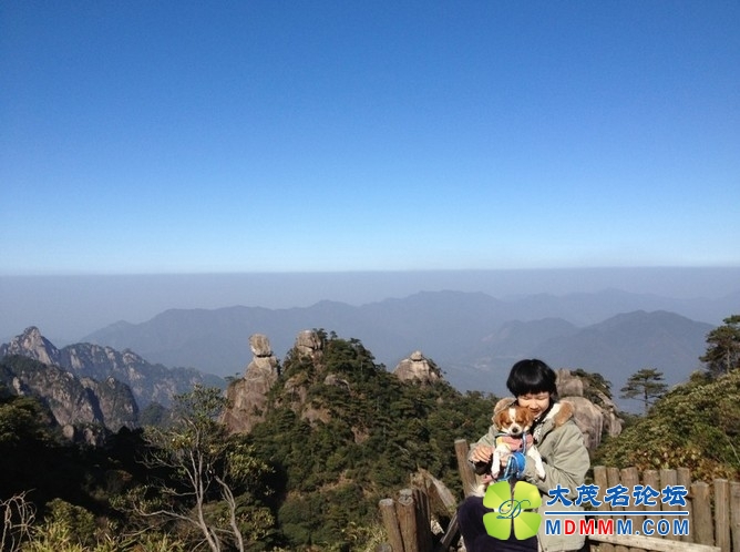 QQͼƬ20131117235948.jpg