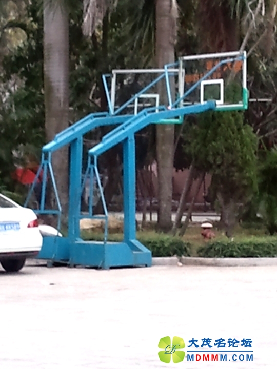 WP_001907.jpg