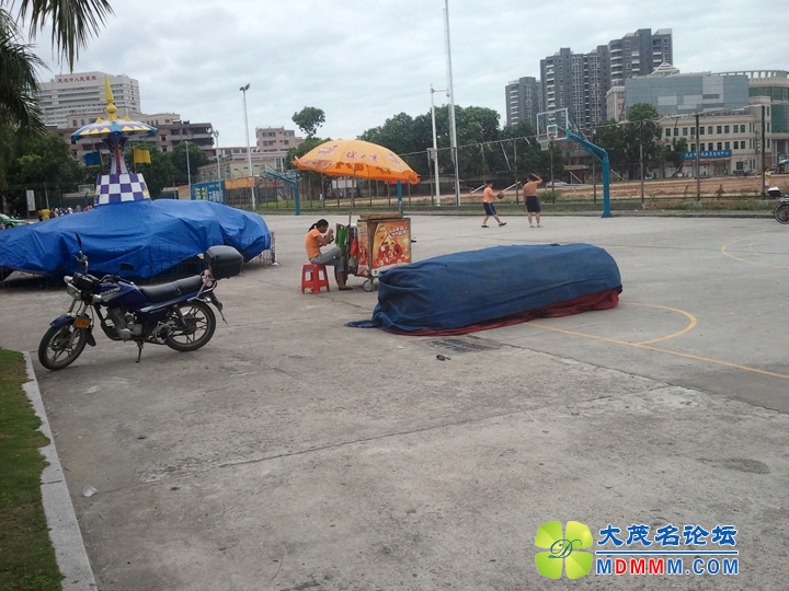 WP_000901.jpg
