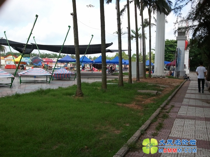 WP_000753.jpg