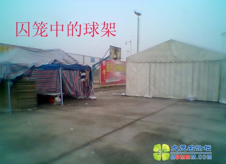 Ƭ0037.jpg