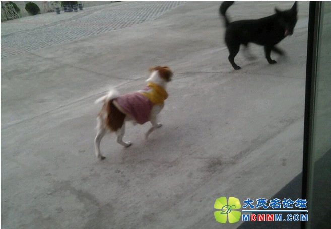 QQͼƬ20131119184156.jpg