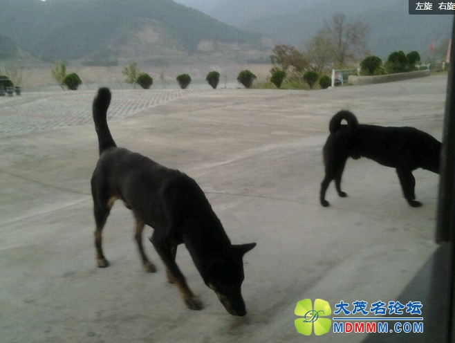 QQͼƬ20131119183723.jpg