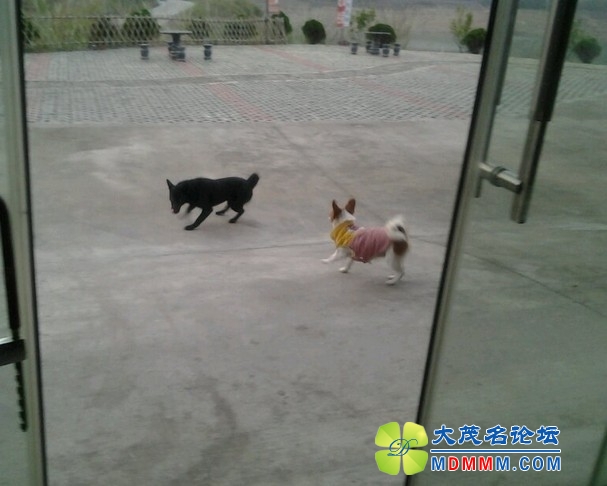 QQͼƬ20131119184057.jpg