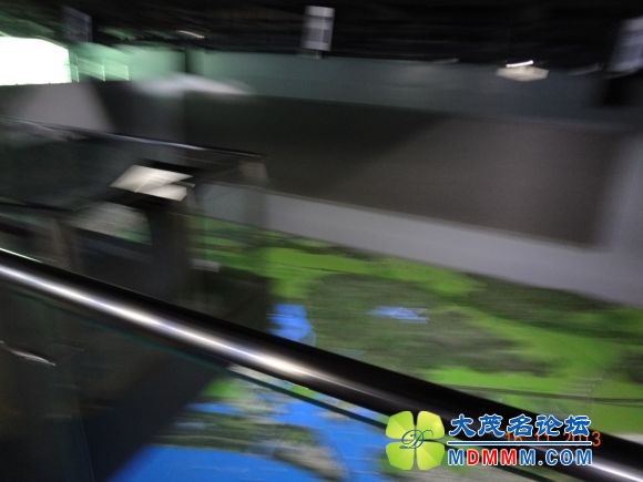 滮ɳ7.JPG