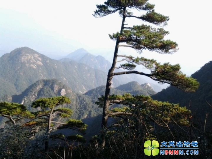 QQͼƬ20131119182207.jpg