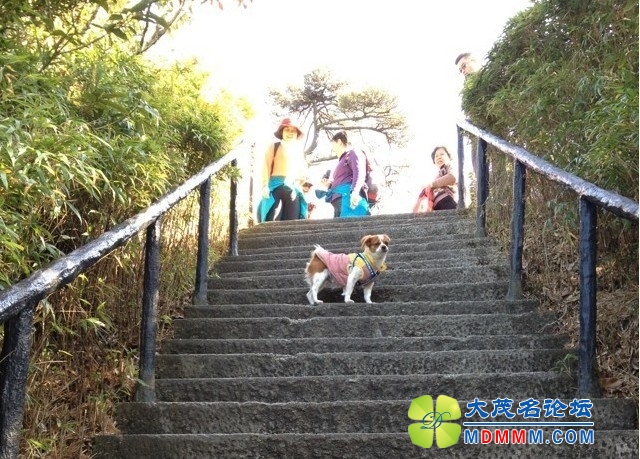 QQͼƬ20131119190100.jpg