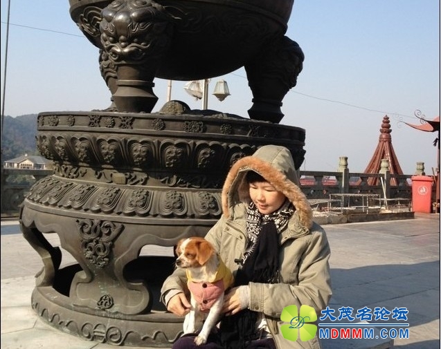 QQͼƬ20131119212402.jpg