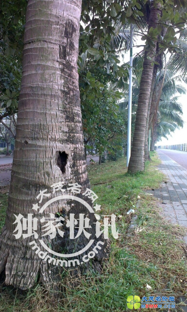 QQͼƬ20131121083107.jpg