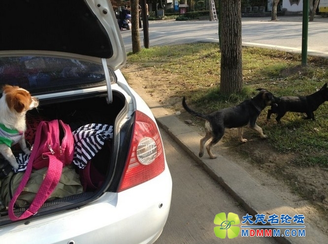 QQͼƬ20131121191509.jpg
