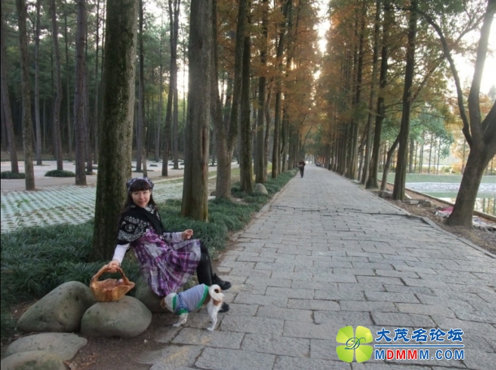 QQͼƬ20131121203012.jpg