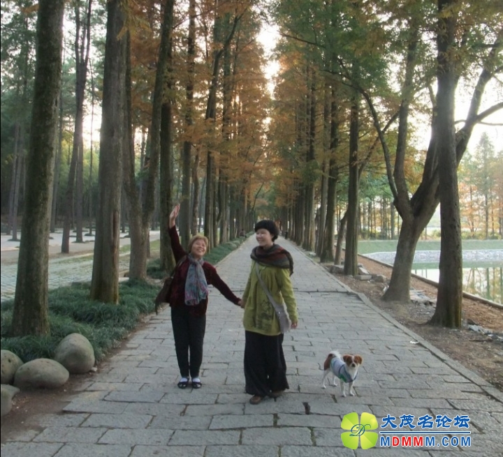 QQͼƬ20131121203953.jpg