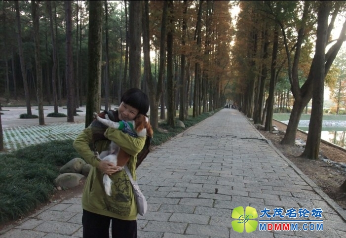 QQͼƬ20131121204759.jpg