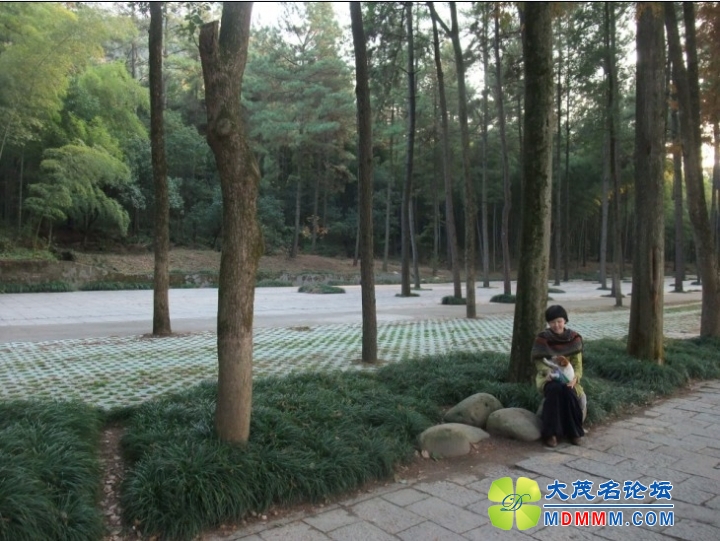 QQͼƬ20131121204848.jpg