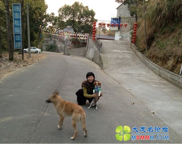 QQͼƬ20131121193013.jpg