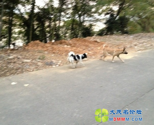 QQͼƬ20131121215116.jpg
