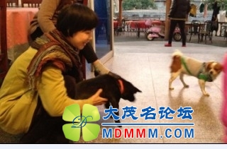 QQͼƬ20131121195926.jpg