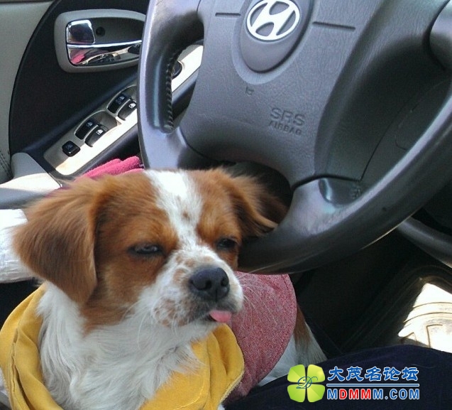 QQͼƬ20131121230909.jpg
