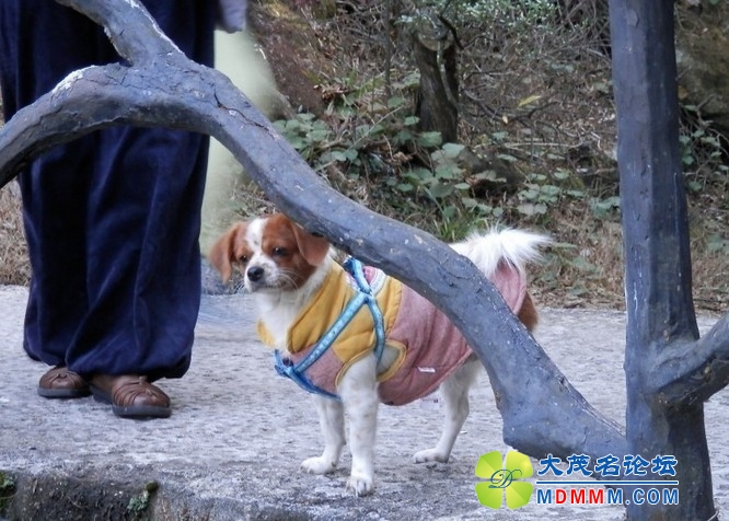 QQͼƬ20131121234641.jpg