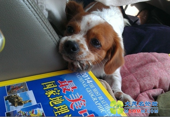 QQͼƬ20131122000548.jpg