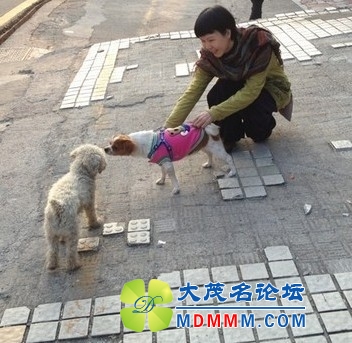 QQͼƬ20131122202522.jpg