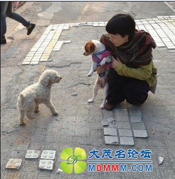 QQͼƬ20131122202603.jpg