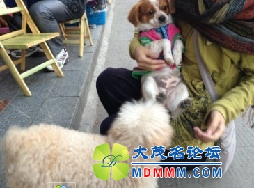 QQͼƬ20131122205458.jpg