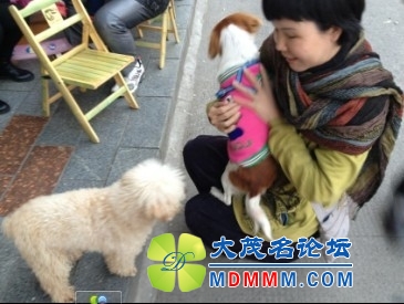 QQͼƬ20131122205525.jpg