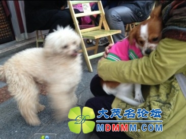 QQͼƬ20131122205541.jpg