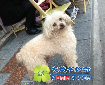 QQͼƬ20131122205557.jpg