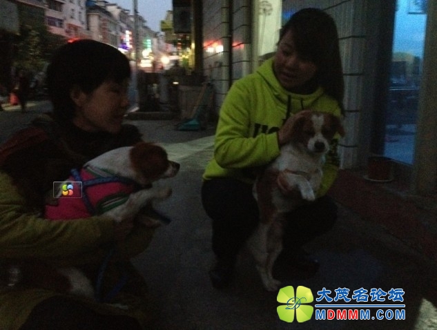 QQͼƬ20131122210853.jpg