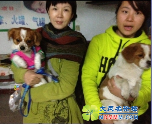 QQͼƬ20131122210929.jpg