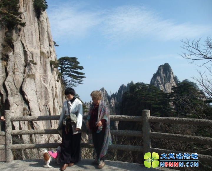 QQͼƬ20131124193942.jpg