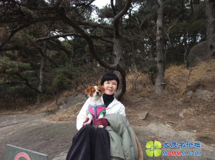 QQͼƬ20131124200022.jpg