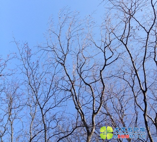 QQͼƬ20131124204906.jpg