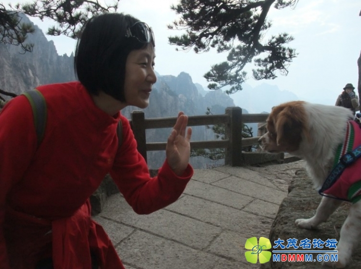 QQͼƬ20131124212417.jpg