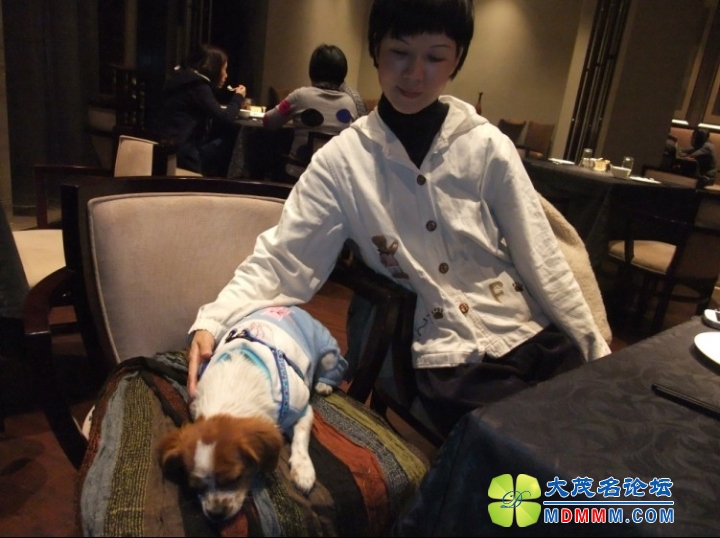 QQͼƬ20131124221000.jpg