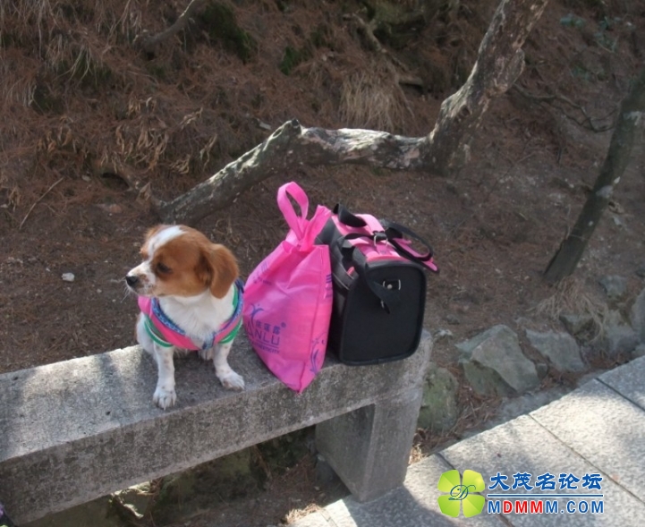 QQͼƬ20131124225542.jpg