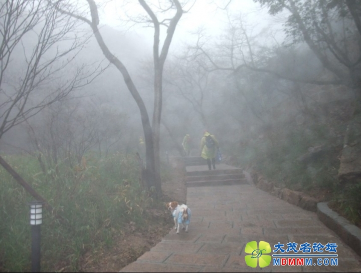 QQͼƬ20131125210933.jpg