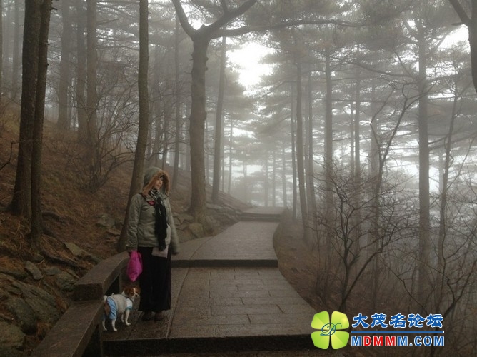 QQͼƬ20131125214033.jpg