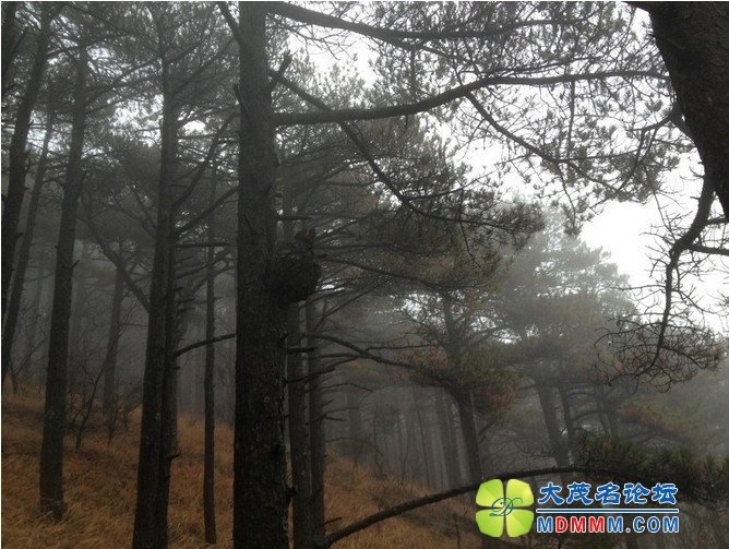 QQͼƬ20131125214109.jpg