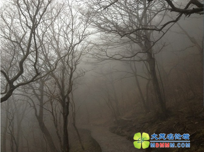 QQͼƬ20131125214310.jpg