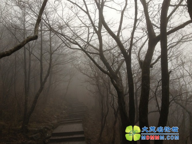 QQͼƬ20131125214246.jpg