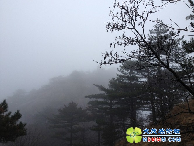 QQͼƬ20131125214333.jpg