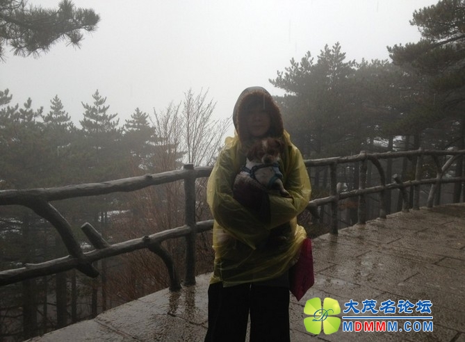 QQͼƬ20131125215727.jpg