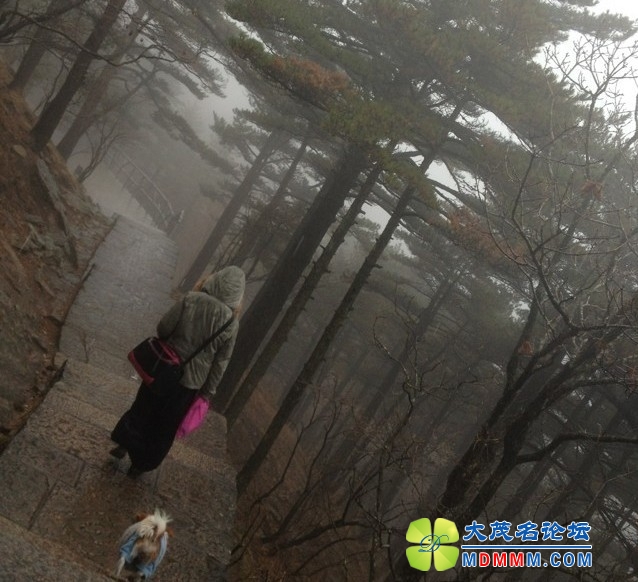 QQͼƬ20131125215801.jpg