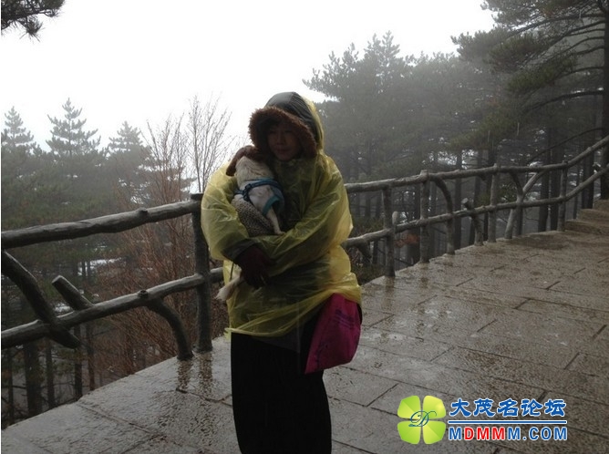 QQͼƬ20131125220253.jpg